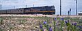 Indian Pacific train hauled by NR class locomotive stopped at Cook, South Australia (cropped)