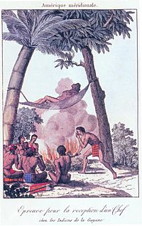 Kalina chief test amazonia