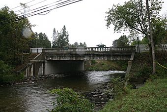 M-88 Intermediate River Bridge.jpg