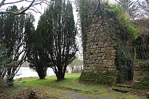 Mac Raghnaill Castle1