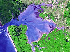 Manukau Harbour (satellite image)
