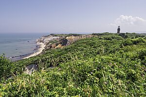Marthasvineyard-Aquinnah-cliffs-summer