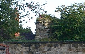 Melbourne castle wall