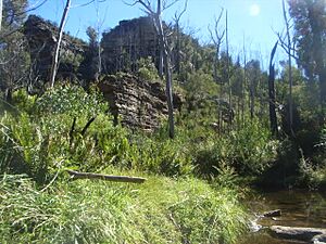 Michael Eades Reserve - Canyon Floor