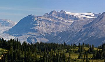Mount Gordon from Iceline Trail.jpg