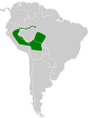 Muscisaxicola fluviatilis map.svg