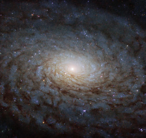NGC 4380 A Galactic Portal