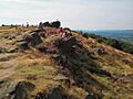 Otleychevin