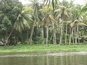Pampa river by Murari2