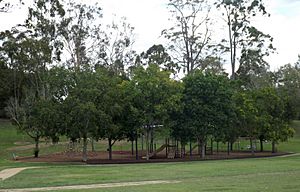 Playground at Sherwood Arboretum