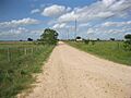Rexville TX Northeast