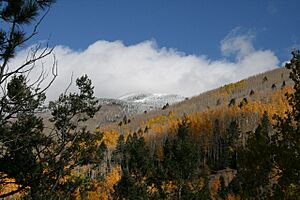 Santa Fe NF Fall