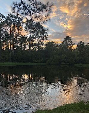 Scenery in Vancleave, Mississippi