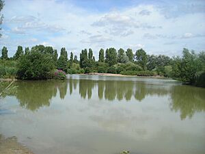 South Norwood Country Park Lake