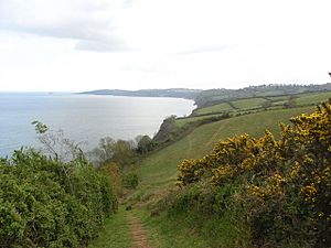 South West Coast Path above Babbacombe Bay (geograph 1855208)