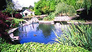 Sunny Walter-Pillings Pond