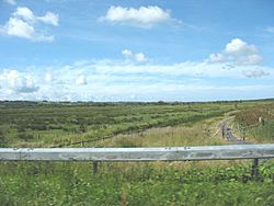The Malltraeth Marsh flatlands - geograph.org.uk - 877749