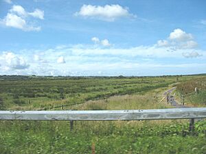 The Malltraeth Marsh flatlands - geograph.org.uk - 877749