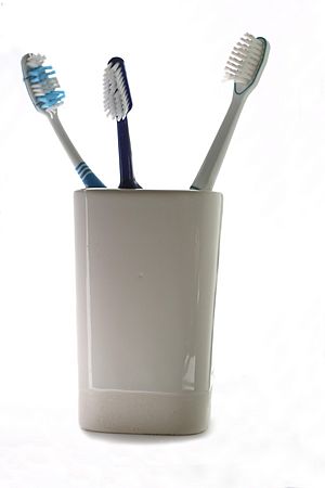 Toothbrush-20060209