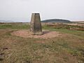 Trig Point on Beacon Hill (geograph 4178645)
