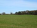 Tumulus - Wyaston (geograph 1701807)