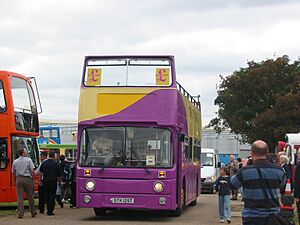 UKIP bus