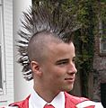 User-Ich with Mohawk