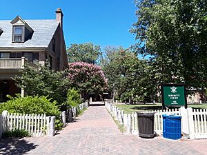 W&M Sorority Court in summer