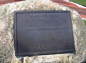 DAR monument in Elizabethton, Tennessee, recalling the establishment of the Watauga Association