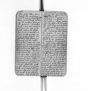 Wright diary