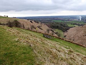 Wye Downs NNR 6