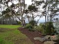 Yurulbin Park New South Wales Picture 1