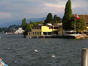 Zürichsee - Horgen IMG 0745