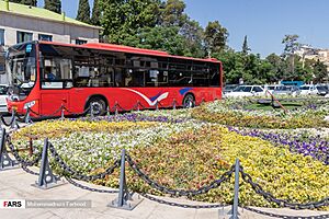 ناوگان اتوبوسرانی شیراز (4)