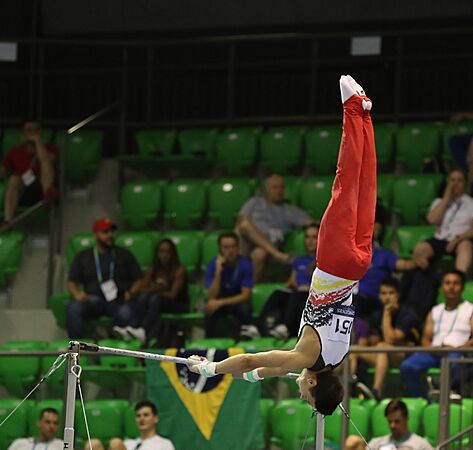 2019-06-27 1st FIG Artistic Gymnastics JWCH Men's All-around competition Subdivision 4 Horizontal bar (Martin Rulsch) 223