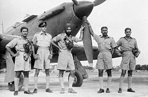 Air Ministry Second World War Official Collection CI75