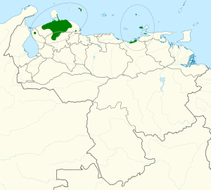 Amazona barbadensis map.svg