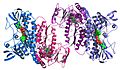 Argonne's Midwest Center for Structural Genomics deposits 1,000th protein structure