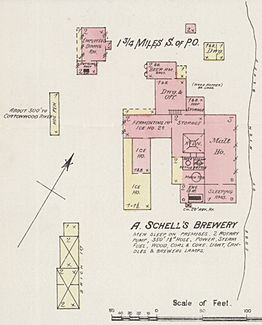 August Schell Brewery in November 1884 map detail, Sanborn Fire Insurance Map from New Ulm, Brown County, Minnesota. LOC sanborn04352 001-1 (cropped)