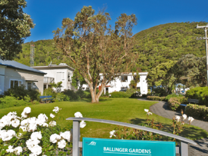 Ballinger Gardens, Eastbourne, 29 November 2020