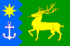 Flag of Concello de Cervo