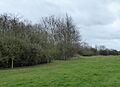 Blisworth Rectory Farm Quarry 3