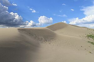 Bruneau Dunes State Park