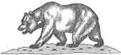 California Flag - Official Bear Drawing - 54-J-03