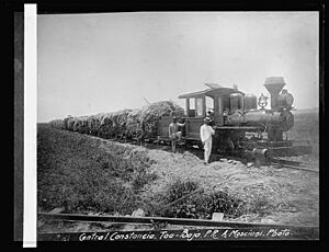 Central Constancia, Toa Baja, Puerto Rico