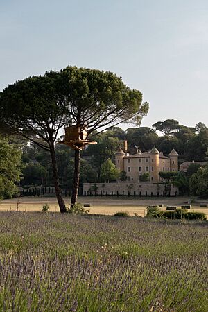 Château de Fabrègues taken in July 2022