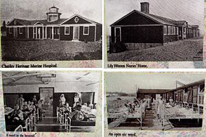 Chailey Heritage Marine Hospital
