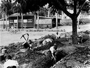 Children digging air raid trenches at Ascot State School, Brisbane, 1942