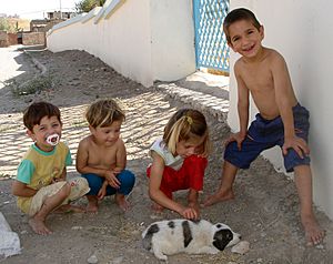 Children puppy sulaimania