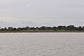 Coalhouse Fort seen from the estuary